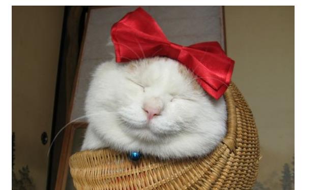 1582617652339655.jpg 4.jpg