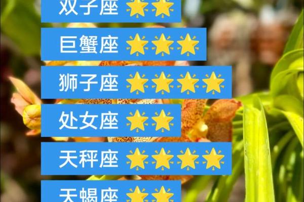 2025年3月29日今日白羊座星座运势 2025年3月29日今日白羊座星座运势