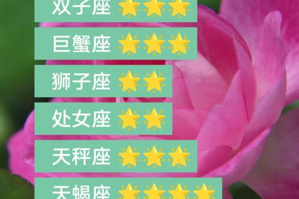 双子座今日运势星座2025年3月24日