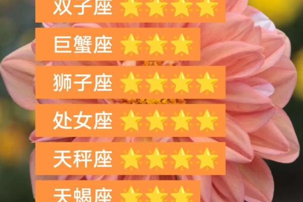 2025年3月29日处女座今日运势第一星座网