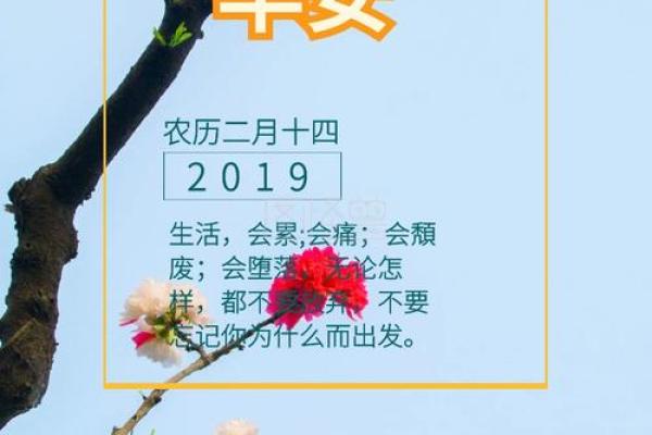农历2月14是什么日子