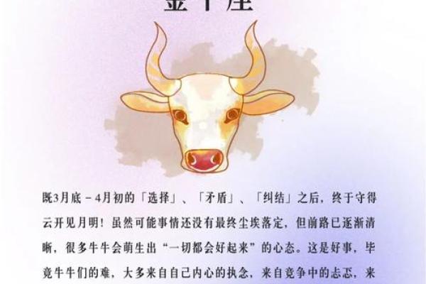 金牛座明日运势星座屋2025年3月25日