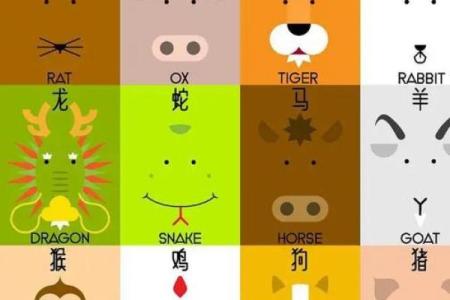 汗马功劳是什么生肖(汗马功劳的生肖是什么生肖)