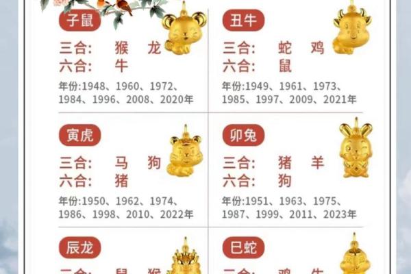 二人三足什么生肖(二人三足什么生肖数字)