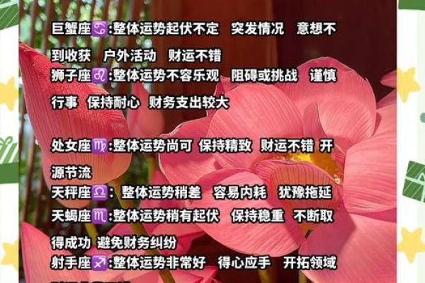 星座网星座运势 星座网每日星座运势精准预测你的未来走向