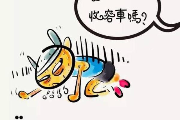 回光返照打一正确生肖(回光返照打一肖肖) 回光返照打一正确生肖(回光返照打一肖肖)