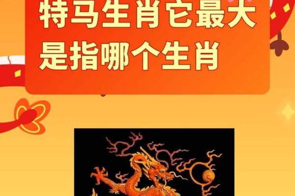 堂堂正正指什么生肖(堂堂正正打哪肖)