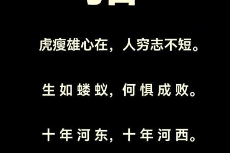 虎背熊腰指什么生肖(虎背熊腰是什么生肖)