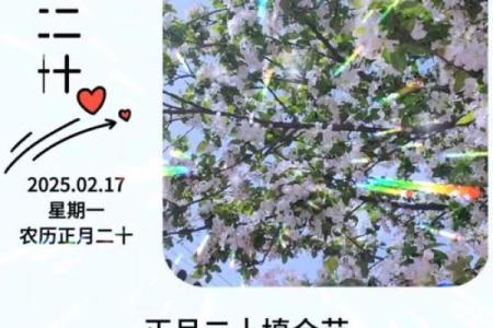 水满金山钱满仓打一个生肖(水满金山钱满仓打一个生肖是什么)