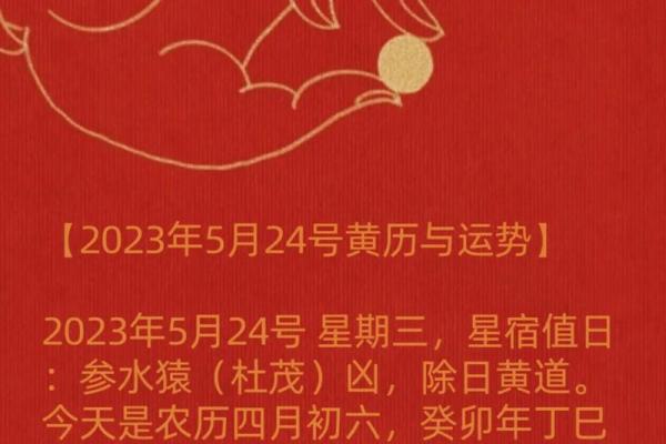 美国神婆2023星座运势全解析精准预测你的运势走向
