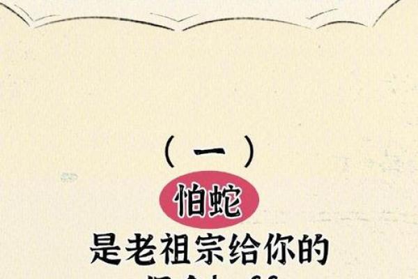 毛骨悚然的动物是什么生肖(毛骨悚然.在十二生肖里指那个肖) 毛骨悚然的动物是什么生肖(毛骨悚然.在十二生肖里指那个肖)