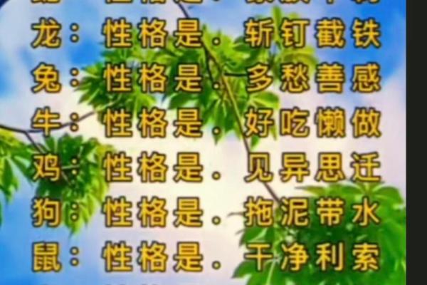 缄舌闭口是什么生肖(缄舌闭口是什么生肖动物,词语成语解释落实) 缄舌闭口是什么生肖(缄舌闭口是什么生肖动物,词语成语解释落实)