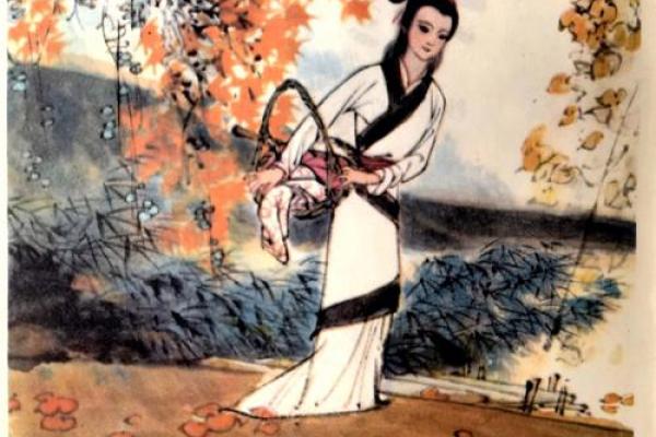 木兰从军是什么生肖(木兰从军打一成语)