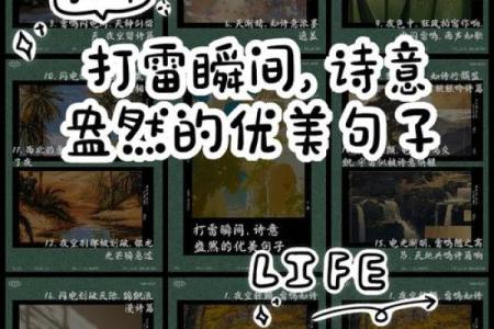原野狂舞是什么生肖(原野狂舞猜生肖)
