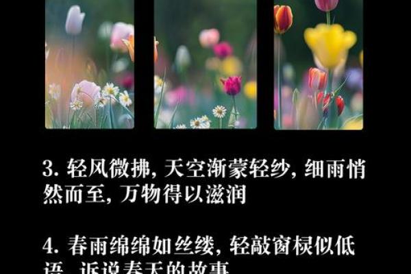 春雨如丝猜一生肖(春雨如丝什么意思)