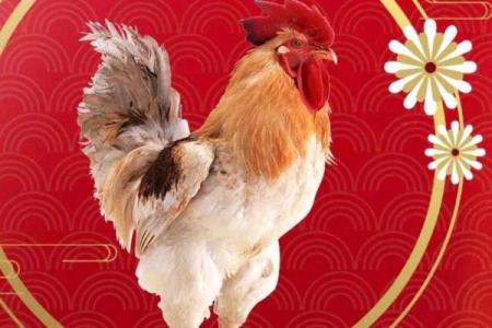 崭露头角是什么生肖(崭露头角是什么生肖最准)