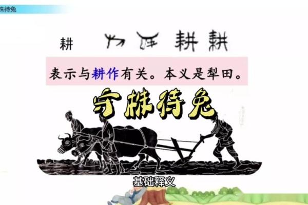 守株待兔打一生肖(守株待兔打一生肖最佳答案是鼠吗)