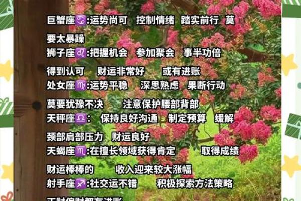 2021星座运势_2021星座运势全解析12星座年度运程大揭秘