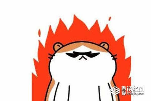 火上烧油是什么生肖(火上烧油是什么意思啊)