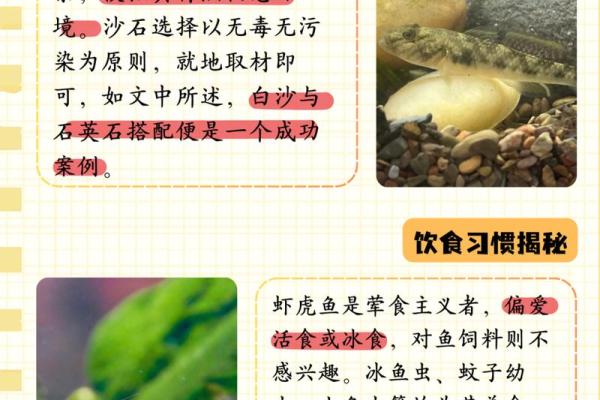 秀水之中有鱼虾是什么生肖(秀水之畔)