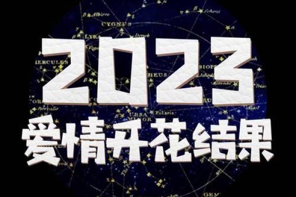 十二星座爱情运势大揭秘2023年你的感情走向如何