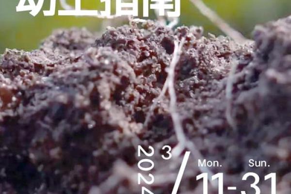 不能动土的日子