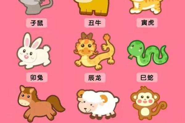 半夜三更代表什么生肖(半夜三更打一数字指什么生肖)