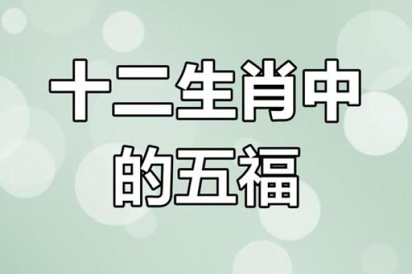 贪婪成性是什么生肖(贪婪成性是什么生肖数字)