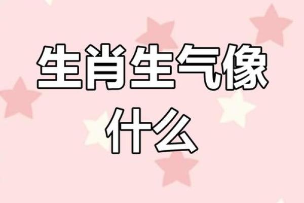 春光灿烂天气好是什么生肖(春光灿烂天气好是什么生肖答案)