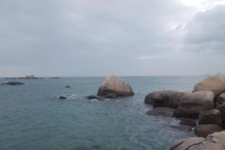 天涯海角是什么生肖(天涯海角是什么生肖动物图片)