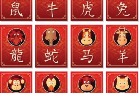 破壳而出是什么生肖(破壳而出是什么生肖鼠图片)