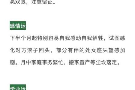 闹闹女巫店2025年12星座运势_闹闹女巫店下半年运势