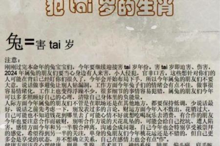 天花乱坠打一个生肖(天花乱坠打一生肖是龙吗)