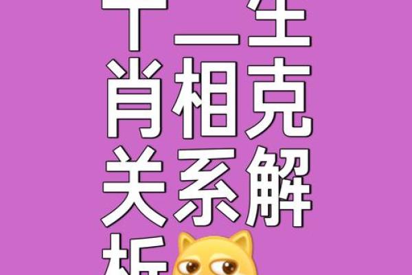 寸步不离是什么生肖(寸步不离打一成语是什么)