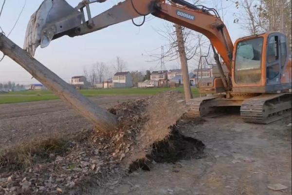 栽树属于动土吗