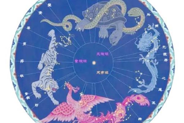 朱雀宫深打一最佳生肖(朱雀宫深打一个生肖)