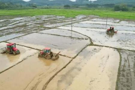 正月适合动土吗(正月不可以动土吗)
