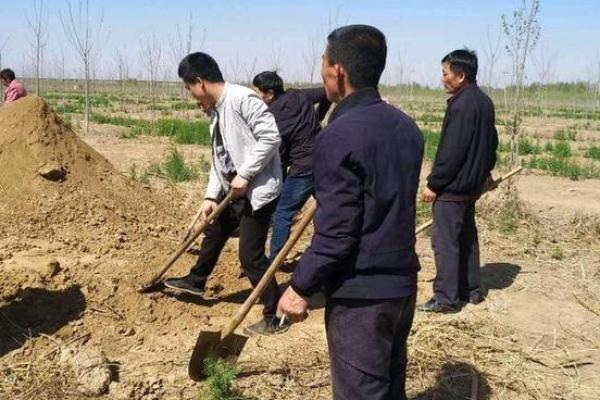 清明节上坟动土