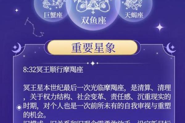 2024年12星座运势_2024年运势好到爆的星座