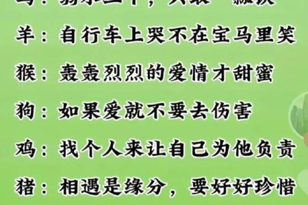因地制宜什么生肖(因地制宜打个生肖)