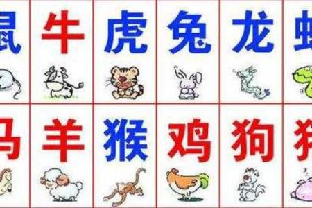 如鱼得水指什么生肖(如鱼得水指什么生肖的数字)