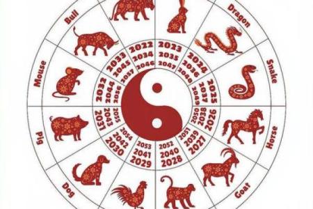 丹凤朝阳是什么生肖(丹凤朝阳猜生肖)