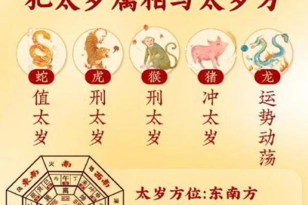 胡作非为是什么生肖(胡作非为的三大生肖)