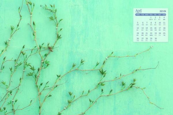 2021年4月日历怎么画(四月日历怎么做)
