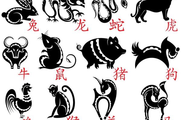 三长两短是何物指什么生肖(三长两短是何物指什么生肖数字)