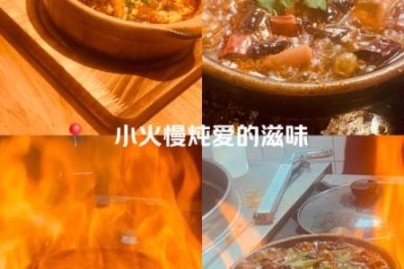 炉火纯青代表什么生肖(炉火纯青表示什么动物)