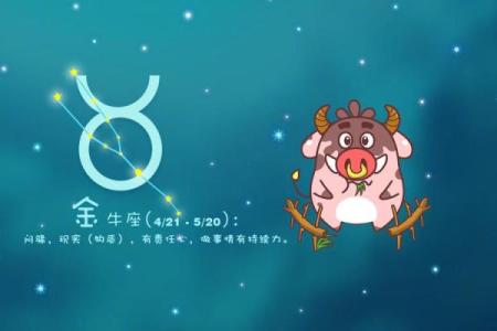 2025年每月星座运势_2031年星座运势