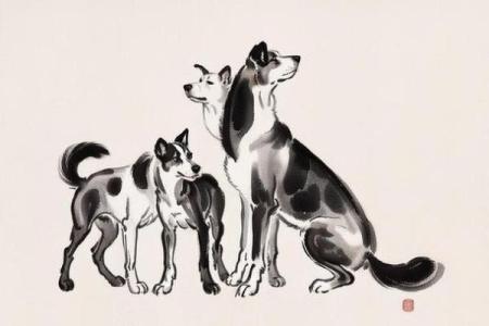 大海水下有特马猜生肖(大海水下是什么意思)