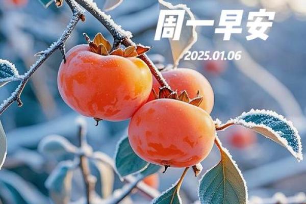 2025年4月25日农历是多少