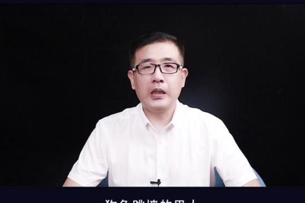 狗急跳墙是什么生肖(狗急跳墙是什么生肖,精准答案落实)